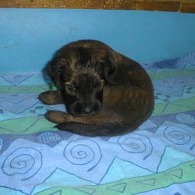 D028